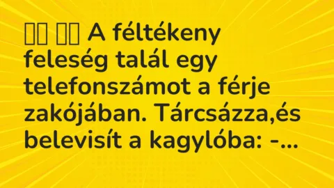 Viccek: 
		  
		  A féltékeny feleség talál egy telefonszámot a…