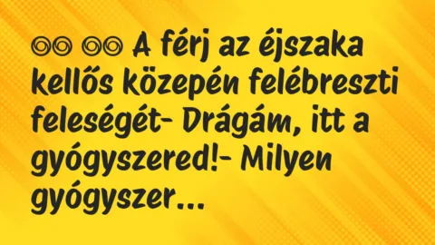 Viccek: 
		  
		  A férj az éjszaka kellős közepén felébreszti…