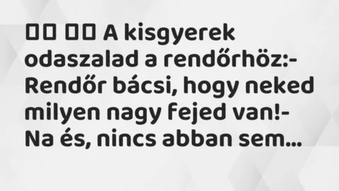 Viccek:
A kisgyerek odaszalad a rendőrhöz:- Rendőr… Viccek:
A kisgyerek odaszalad a rendőrhöz:- Rendőr…