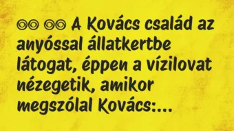 Viccek: 
		  
		  A Kovács család az anyóssal állatkertbe látogat, …