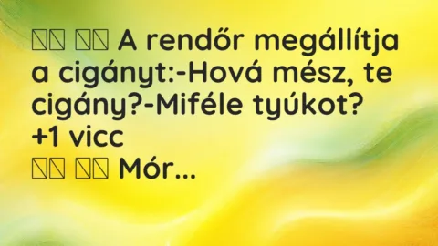 Viccek: 
		  
		  A rendőr megállítja a cigányt:-Hová mész, te …