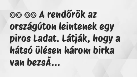 Viccek: 
		  
		  A rendőrök az országúton leintenek egy piros…
