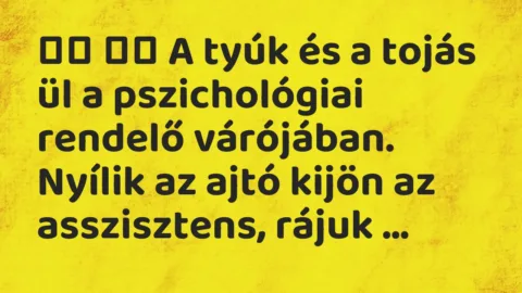 Viccek: 
		  
		  A tyúk és a tojás ül a pszichológiai rendelő…