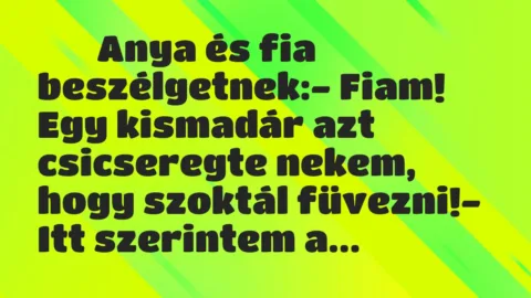 Viccek: 
		  
		  Anya és fia beszélgetnek:- Fiam! Egy kismadár…