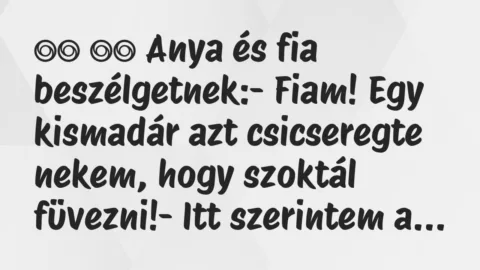 Viccek:
Anya és fia beszélgetnek:- Fiam! Egy kismadár… Viccek:
Anya és fia beszélgetnek:- Fiam! Egy kismadár…