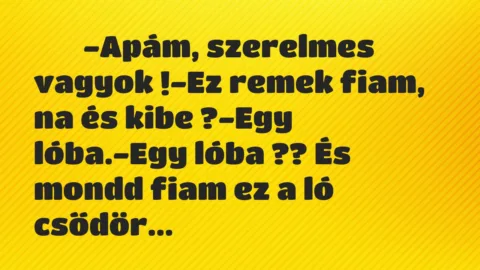 Viccek:
-Apám, szerelmes vagyok !-Ez remek fiam, na… Viccek:
-Apám, szerelmes vagyok !-Ez remek fiam, na…