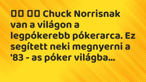Viccek: 
		  
		  Chuck Norrisnak van a világon a legpókerebb póker…