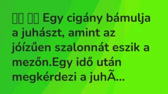 Viccek: 
		  
		  Egy cigány bámulja a juhászt, amint az jóízűen…