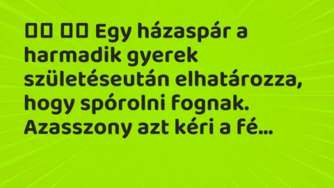 Viccek: 
		  
		  Egy házaspár a harmadik gyerek születéseután …