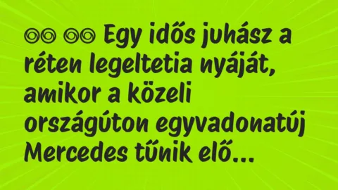Viccek: 
		  
		  Egy idős juhász a réten legeltetia nyáját,…