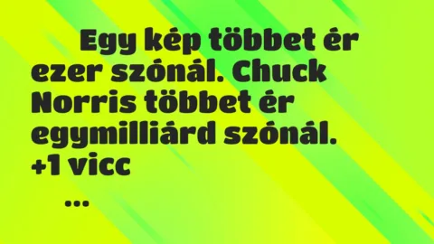 Viccek: 
		  
		  Egy kép többet ér ezer szónál. Chuck Norris…