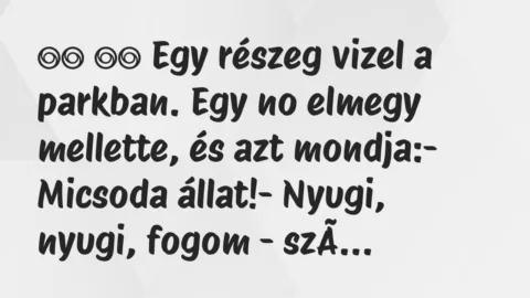 Viccek: 
		  
		  Egy részeg vizel a parkban. Egy no elmegy…