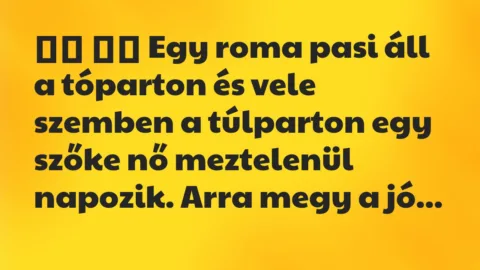 Viccek:
Egy roma pasi áll a tóparton és vele szemben a… Viccek:
Egy roma pasi áll a tóparton és vele szemben a…