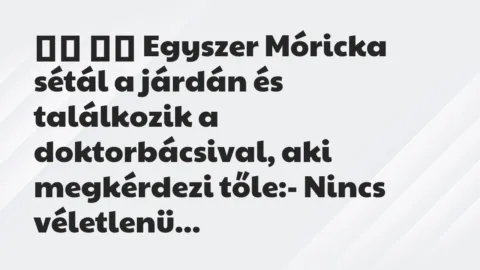 Viccek: 
		  
		  Egyszer Móricka sétál a járdán és találkozik a…