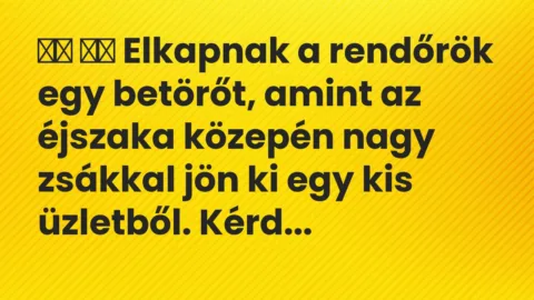 Viccek: 
		  
		  Elkapnak a rendőrök egy betörőt, amint az éjszaka…