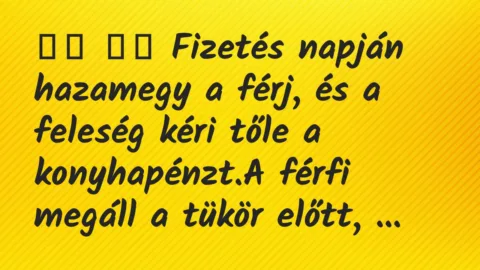 Viccek: 
		  
		  Fizetés napján hazamegy a férj, és a feleség kéri…