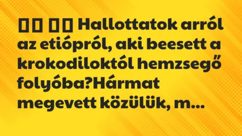 Viccek:
Hallottatok arról az etiópról, aki beesett a… Viccek:
Hallottatok arról az etiópról, aki beesett a…