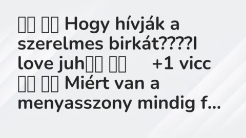 Viccek:
Hogy hívják a szerelmes birkát????I love … Viccek:
Hogy hívják a szerelmes birkát????I love …
