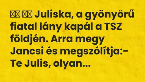 Viccek: 
		  
		  Juliska, a gyönyörű fiatal lány kapál a TSZ…