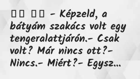Viccek: 
		  
		  – Képzeld, a bátyám szakács volt egy…