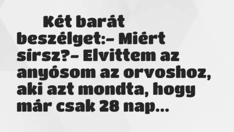 Viccek: 
		  
		  Két barát beszélget:- Miért sírsz?-…