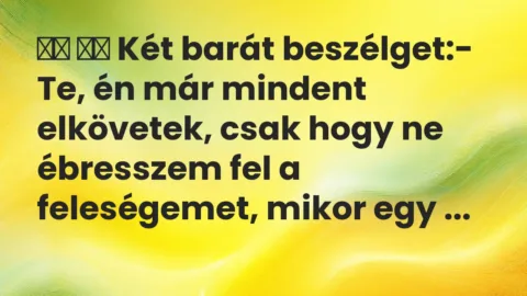 Viccek: 
		  
		  Két barát beszélget:- Te, én már mindent…