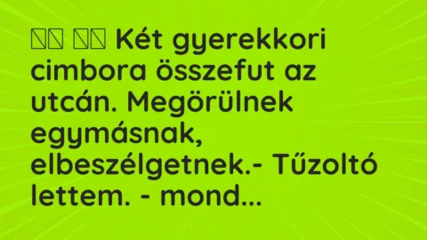 Viccek: 
		  
		  Két gyerekkori cimbora összefut az utcán….