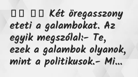 Viccek: 
		  
		  Két öregasszony eteti a galambokat. Az egyik…