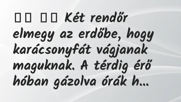 Viccek:
Két rendőr elmegy az erdőbe, hogy karácsonyfát… Viccek:
Két rendőr elmegy az erdőbe, hogy karácsonyfát…