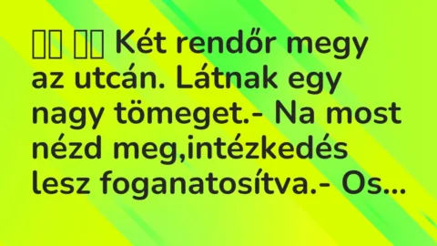 Viccek: 
		  
		  Két rendőr megy az utcán. Látnak egy nagy…