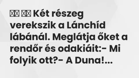 Viccek: 
		  
		  Két részeg verekszik a Lánchíd lábánál. Meglátja …