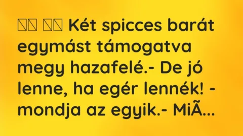 Viccek: 
		  
		  Két spicces barát egymást támogatva megy…