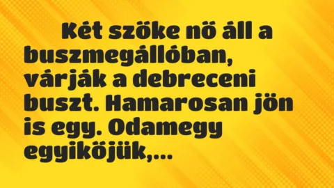 Viccek: 
		  
		  Két szőke nő áll a buszmegállóban, várják a…