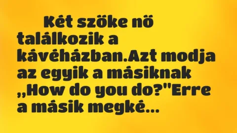 Viccek: 
		  
		  Két szőke nő találkozik a kávéházban.Azt…