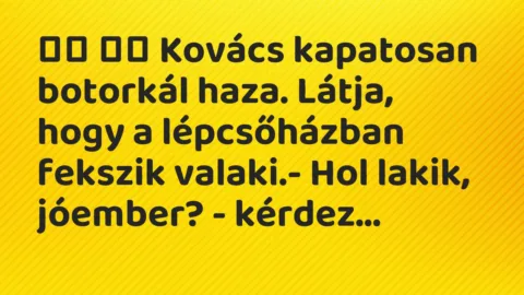 Viccek:
Kovács kapatosan botorkál haza. Látja, hogy a… Viccek:
Kovács kapatosan botorkál haza. Látja, hogy a…