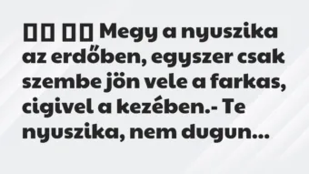 Viccek:
Megy a nyuszika az erdőben, egyszer csak szembe… Viccek:
Megy a nyuszika az erdőben, egyszer csak szembe…