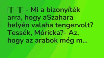 Viccek: 
		  
		  – Mi a bizonyíték arra, hogy aSzahara helyén …