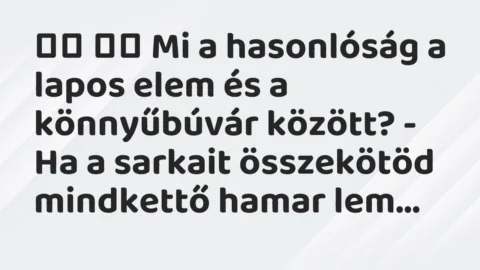 Viccek:
Mi a hasonlóság a lapos elem és a könnyűbúvár… Viccek:
Mi a hasonlóság a lapos elem és a könnyűbúvár…
