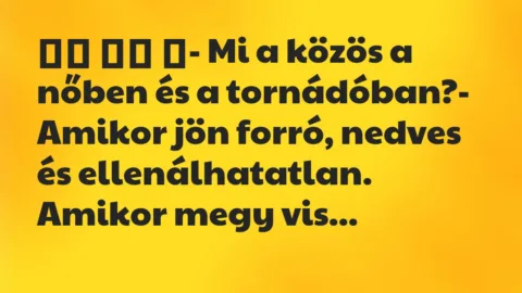 Viccek: 
		  
		  ‎- Mi a közös a nőben és a tornádóban?-…