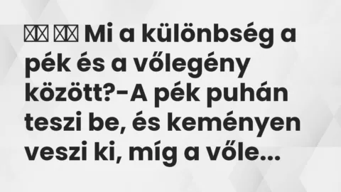 Viccek: 
		  
		  Mi a különbség a pék és a vőlegény között?-A …