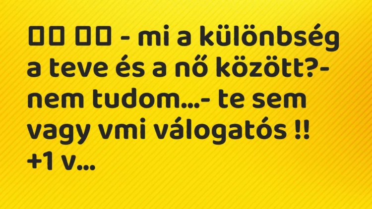 Viccek:
– mi a különbség a teve és a nő között?- nem … Viccek:
– mi a különbség a teve és a nő között?- nem …