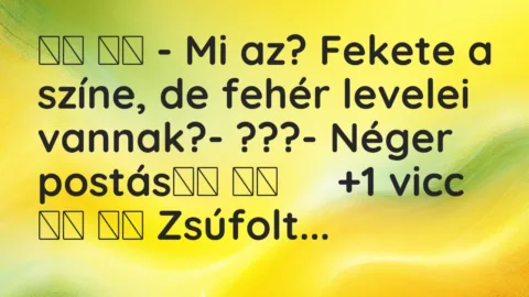 Viccek:
– Mi az? Fekete a színe, de fehér levelei… Viccek:
– Mi az? Fekete a színe, de fehér levelei…