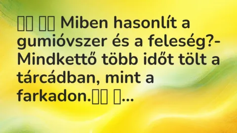 Viccek: 
		  
		  Miben hasonlít a gumióvszer és a feleség?-…