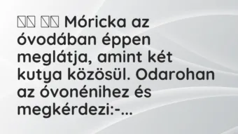 Viccek:
Móricka az óvodában éppen meglátja, amint két… Viccek:
Móricka az óvodában éppen meglátja, amint két…