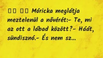 Viccek: 
		  
		  Móricka meglátja meztelenül a nővérét:- Te,…