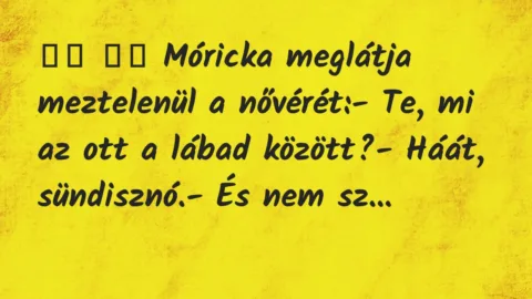 Viccek: 
		  
		  Móricka meglátja meztelenül a nővérét:- Te,…
