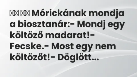 Viccek:
Mórickának mondja a biosztanár:- Mondj egy… Viccek:
Mórickának mondja a biosztanár:- Mondj egy…
