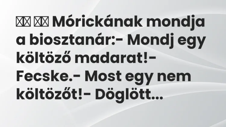 Viccek:
Mórickának mondja a biosztanár:- Mondj egy… Viccek:
Mórickának mondja a biosztanár:- Mondj egy…