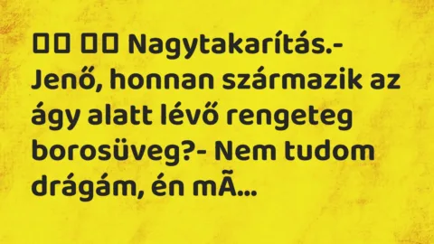 Viccek:
Nagytakarítás.- Jenő, honnan származik az ágy… Viccek:
Nagytakarítás.- Jenő, honnan származik az ágy…