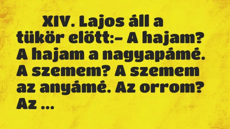 Viccek:
XIV. Lajos áll a tükör előtt:- A hajam? A… Viccek:
XIV. Lajos áll a tükör előtt:- A hajam? A…